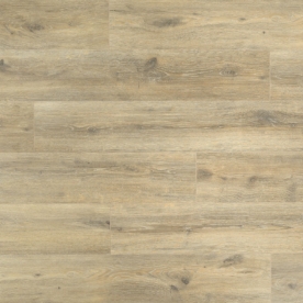 Sandstone Oak D4513 C- Grand Selection Evolution