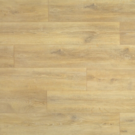 Gold Oak D4515 CI - Grand Selection Evolution